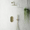 Harbour Clarity Brushed Brass Shower Package With 2 Outlet Valve, Fixed Head & Arm And Wall Shower Kit -Vado Sale Store harbour clarity shower valve head arm and wall handset brushed brass pack lifestyle