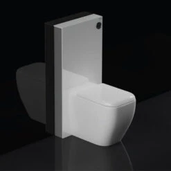 RAK Obelisk Glass Cabinet Cistern Frame For Back To Wall Toilets - Alpine White